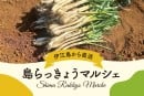 【3/14開催】島らっきょうマルシェ～伊江島から、採れたて直送「旬」が届く。～