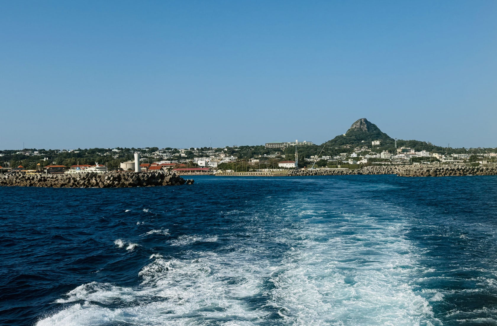 【3/14開催】島らっきょうマルシェ～伊江島から、採れたて直送「旬」が届く。～