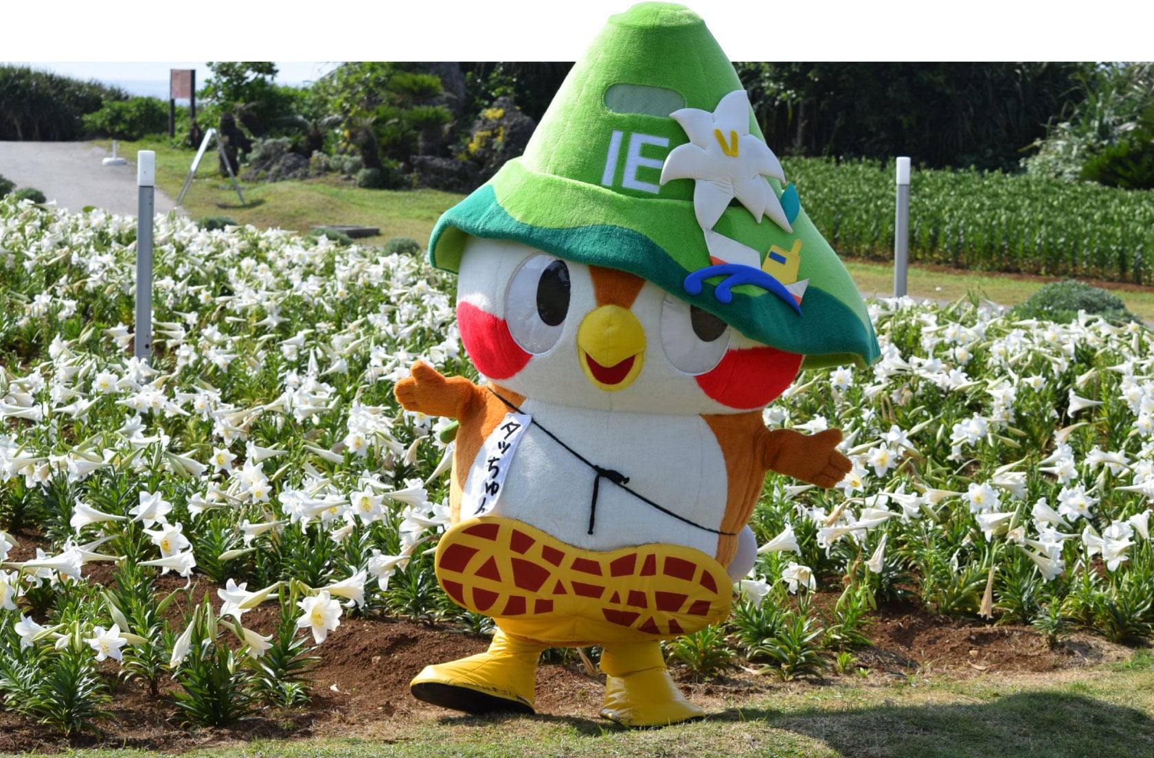 伊江島イメージキャラクター「タッちゅん」来場！