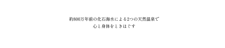 約800万年前の化石海水による2つの天然温泉で心と身体をときほぐす
